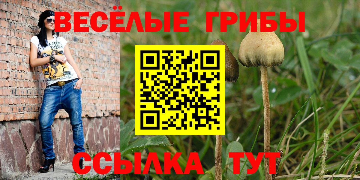 Галлюциногенные грибы GOLDEN TEACHER Дзержинский