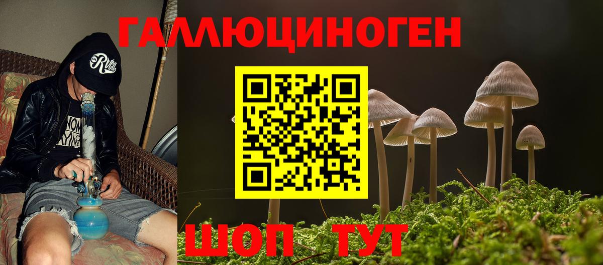 Дзержинский  Галлюциногенные грибы прущие грибы  Вход с VPN  Галлюциногенные грибы мицелий 
